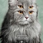 pet_show_pet_food_cat_1