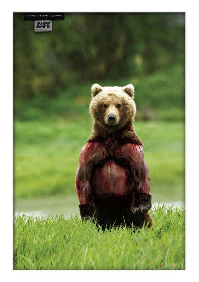 oso