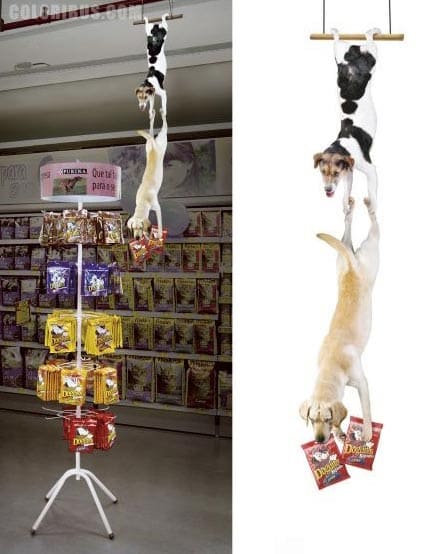pet2