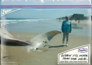 ziplocwhalepreview1