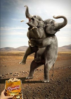 humor_publicidad_elefante_cacahuetes