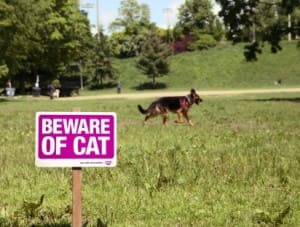 whiskas beware cat 412x312