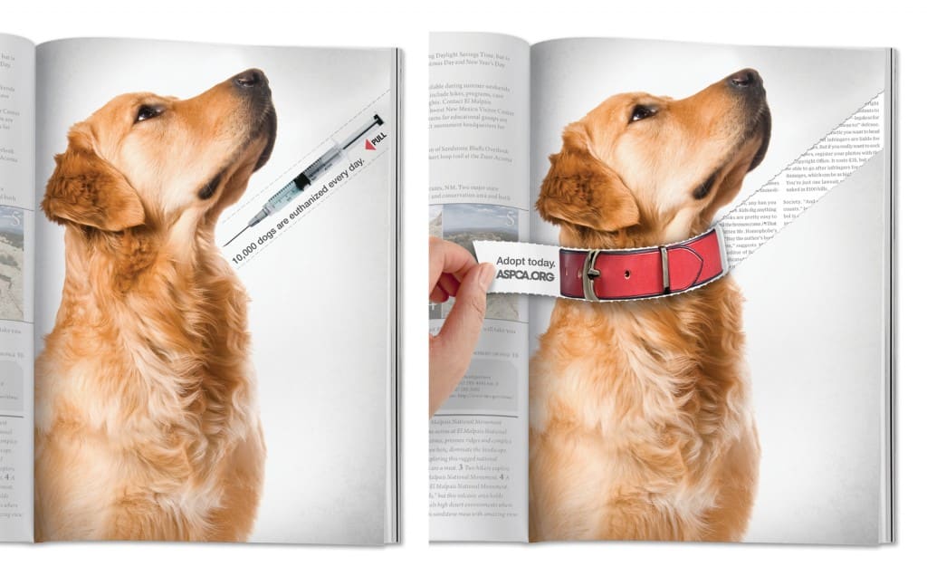 aspca dog collar school of visual arts new york